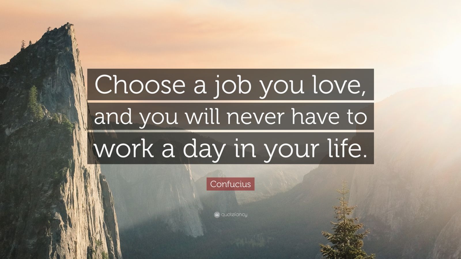 What is the most important factor to choose a company？